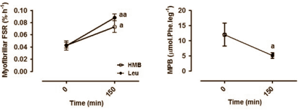 Misschien kun je leucine stacken met HMB