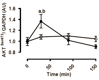 Misschien kun je leucine stacken met HMB