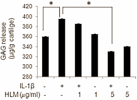 Combinatie van Maca, Cat's Claw, Boswellia en leucine beschermt gewrichten