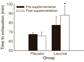 Leucine maakt roeiers sneller