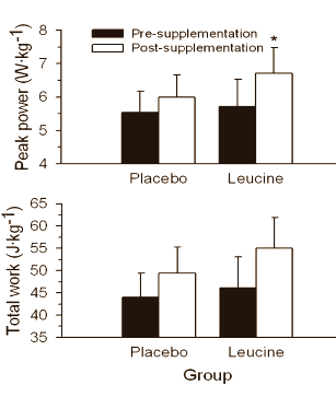 Leucine maakt roeiers sneller