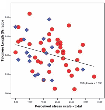 Koolhydraatarm dieet bij powerlifters: gewichtsverlies zonder krachtverlies