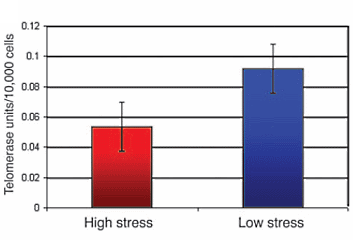 Stress verkort het leven op moleculair niveau