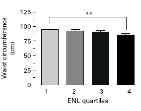 Minder vetmassa met vlaszaad, thee en meergranenbrood