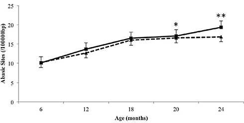Leef 12 procent langer met een laag-glycemisch dieet