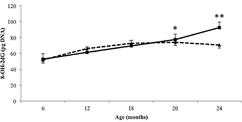 Leef 12 procent langer met een laag-glycemisch dieet