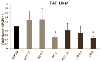 Methyl-1-Testosteron was precies zoals je op de boards kon lezen
