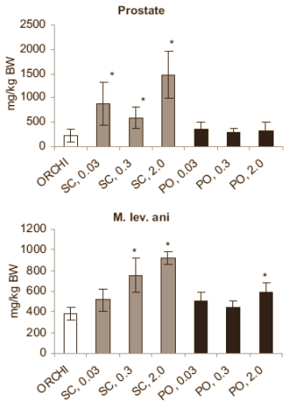 Methyl-1-Testosteron was precies zoals je op de boards kon lezen