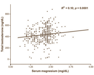 Meer magnesium, meer testosteron en IGF-1