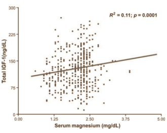 Meer magnesium, meer testosteron en IGF-1