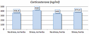 Dierstudie: combinatie Melissa officinalis en Passiflora caerulea remt cortisol bij stress