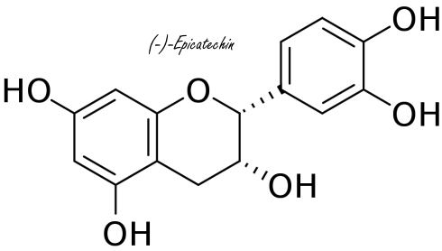 In cacao zit een duursportdrug