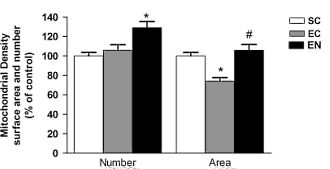 Schrijf maar even op: alfa-liponzuur, acetyl-L-carnitine, biotine, vitamine B2, B3 en B6, creatine, Q10, resveratrol en taurine. Stop dat allemaal bij elkaar in een capsule, en je hebt een supplement waarmee hardtrainende duursporters waarschijnlijk betere tijden neerzetten.