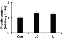 Supplement met melkzuur en cafeïne geeft sporters grotere spieren