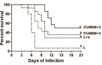 Als je elke dag 120-150 gr champignons eet, leert je immuunsysteem sneller ziektekiemen herkennen. Vaccins worden daardoor effectiever. Dat kun je afleiden uit een dierstudie die immunologen van het Amerikaanse landbouwministerie USDA publiceerden in de Journal of Nutrition. Uit dat onderzoek blijkt trouwens ook dat het positieve effect van champignons verdwijnt als je er teveel van eet.