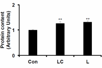Supplement met melkzuur en cafeïne geeft sporters grotere spieren