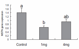 Myostatin-injecties voor meer spieren