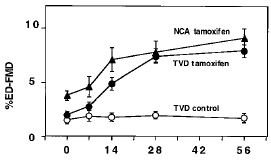 Tamoxifen verjongt bloedvaten