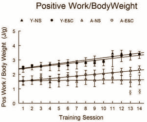 Dierstudie: vitamine C en E goed voor oudere krachtsporter