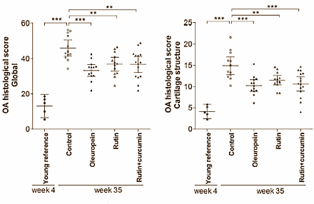 Oleuropein, rutin en curcumin versus artrose