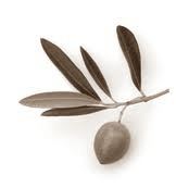 Olive Leaf Extract reduceert buikvet