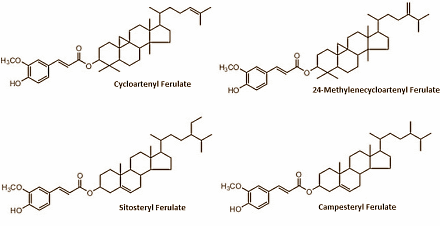Verdachte studie: oryzanol maakt krachtsporters sterker