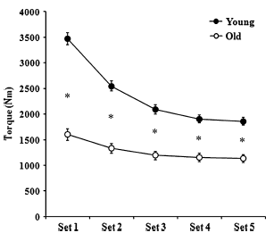 Oude spieren zijn minder sterk, maar ook minder snel moe dan jonge spieren