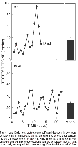 Androgen Dependence in Hamsters: Overdose, Tolerance and Potential Opioidergic Mechanisms
