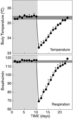 Androgen Dependence in Hamsters: Overdose, Tolerance and Potential Opioidergic Mechanisms