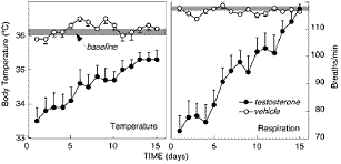 Androgen Dependence in Hamsters: Overdose, Tolerance and Potential Opioidergic Mechanisms