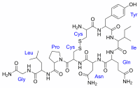 Oxytocin is een dopingmiddel van niks