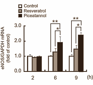 De literatuur over de prestatieverbeterende werking van NO-boosters is verwarrend. In de ene studie verbetert suppletie met aminozuren als L-arginine, L-ornithine of L-citrulline sportieve prestaties, in de andere niet. Japanse onderzoekers van de snoepfabrikant Morinaga and Company publiceerden een reageerbuisonderzoek waaruit je kunt opmaken dat voedingsfactoren waarschijnlijk meebepalen hoe je op NO-boosters reageert. Ze werken misschien beter als je via je voeding ook stoffen als piceatannol binnenkrijgt.