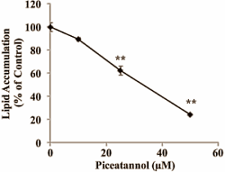 Suppletie met piceatannol, een metaboliet van het overbekende resveratrol, vermindert misschien de vetmassa en laat de spiermassa groeien. Die speculatie baseren we op Aziatische in vitro-studies. Volgens die studies remt picetannol de opname van glucose door vetcellen, maar stimuleert het de opname door spiercellen.