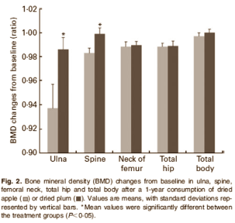 Een ons gedroogde pruimen per dag beschermt je botmassa