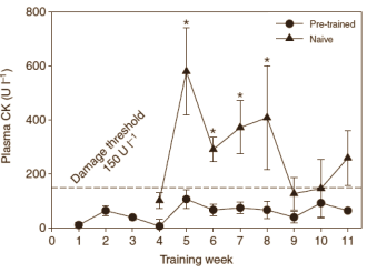 Er is een deukje gekomen in het adagium No pain, no gain. Bewegingswetenschappers van Northern Arizona University hebben aangetoond dat workouts die leiden tot spierpijn net zo effectief kunnen zijn als workouts die dat niet doen. Het onderzoek zegt alleen iets over krachtsporters die net zijn begonnen met trainen.