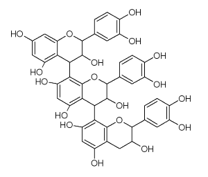 Grape Seed Extract tijdens menopauze: minder opvliegers, meer spieren en beter slapen