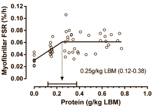 Spieren ouderen hebben meer eiwitten nodig