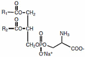 Phosphatidylserine