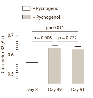 Pycnogenol verjongt de huid