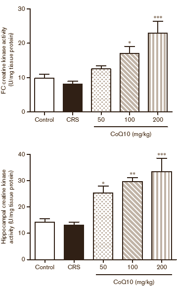 Suppletie met fikse doses Q10 kan de schade verminderen die serieuze psychologische stress aanricht in het lichaam. Dat concludeert Sawsan Aboul-Fotouh van Ain Shams University in Egypte uit een experiment met mannelijke ratten. Misschien kan Q10 zelfs helpen bij de bestrijding van depressies.