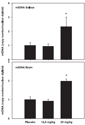 Dierstudie: quercetine vergroot uithoudingsvermogen