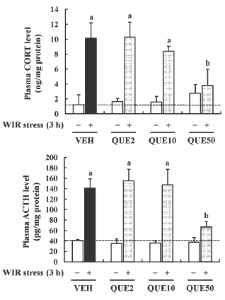 Quercetine remt cortisol na stress