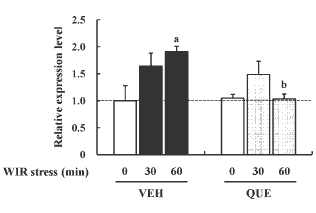 Quercetine remt cortisol na stress