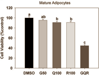 Het gezamenlijke antivetzuchteffect van genisteine, resveratrol en quercetine
