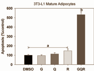 Het gezamenlijke antivetzuchteffect van genisteine, resveratrol en quercetine
