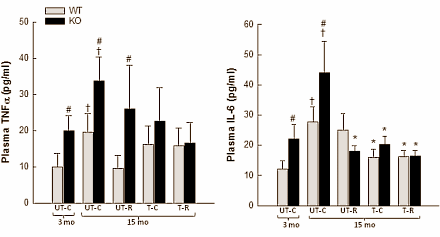 Veroudering is eigenlijk een cascade van ontstekingsreacties. Lichaamsbeweging kan die ontstekingen temperen, net als suppletie met het wonderbare plantenstofje resveratrol. Van die twee werkt lichaamsbeweging het beste. Dat schrijven Deense biologen, verbonden aan de universiteit van Kopenhagen, binnenkort in Experimental Gerontology.