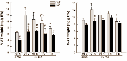 Veroudering is eigenlijk een cascade van ontstekingsreacties. Lichaamsbeweging kan die ontstekingen temperen, net als suppletie met het wonderbare plantenstofje resveratrol. Van die twee werkt lichaamsbeweging het beste. Dat schrijven Deense biologen, verbonden aan de universiteit van Kopenhagen, binnenkort in Experimental Gerontology.