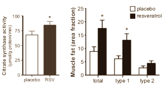 Dit doet 150 mg resveratrol per dag