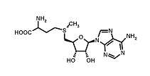 Als je last hebt van pijnlijke gewrichten en op zoek bent naar een supplement waarmee je daaraan iets kunt doen, dan heb je misschien iets aan SAM-e - voluit: S-adenosylmethionine. Volgens een trial, die onderzoekers van de University of California publiceerden in 2003, werkt het supplement net zo goed als de ontstekingsremmer celecoxib.