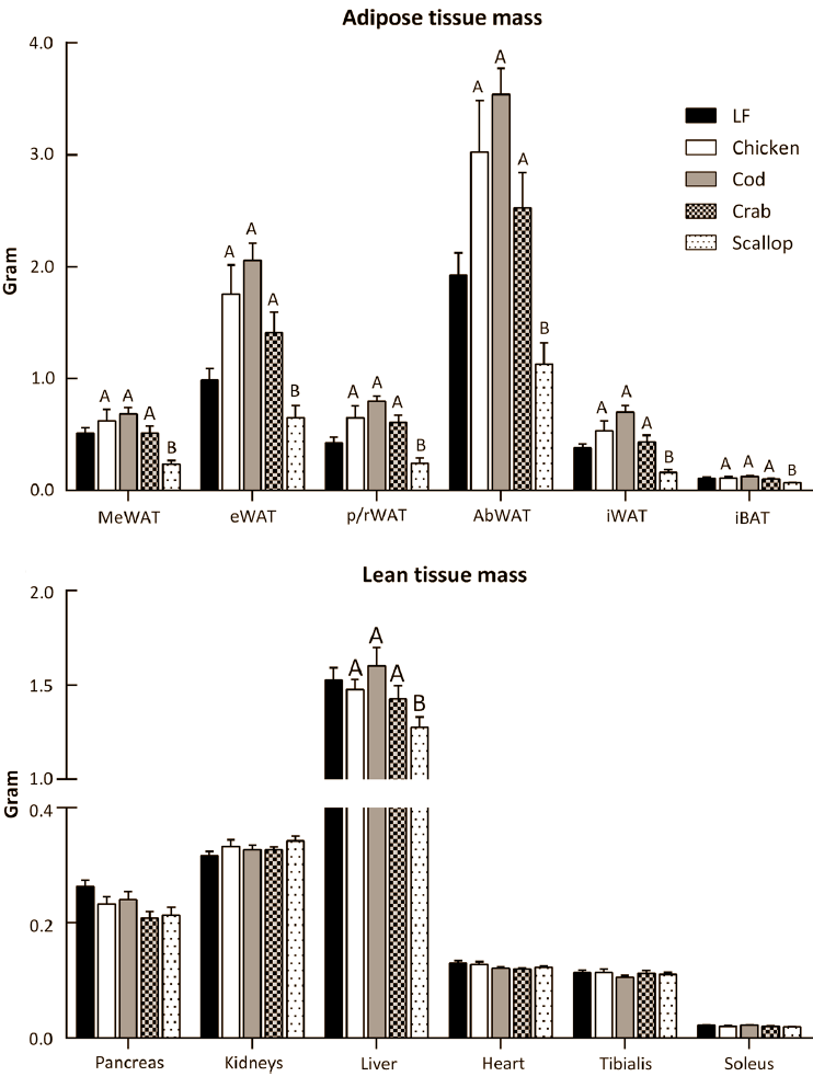 Als je graag wat pondjes vet wilt verliezen, dan is een eiwitrijk dieet vaak de beste optie. Maar met welk type eiwitten kun je nu het beste afvallen? Volgens Scandinavische onderzoekers zitten de allerbeste afslankeiwitten in schelpen. Die eiwitten bevatten verhoudingsgewijs veel taurine en glycine.